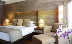 Vivanta by Taj - President 