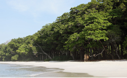 Barefoot at Havelock