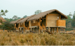 Diphlu River Lodge