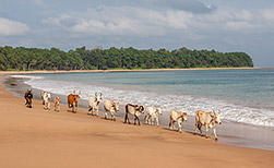 Andamanen