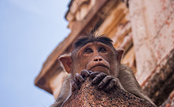 Khajuraho