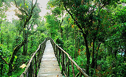 Thekkady