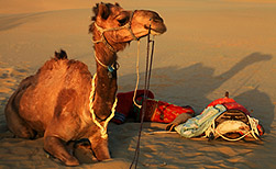 Jaisalmer