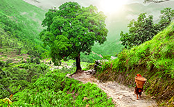 Pokhara
