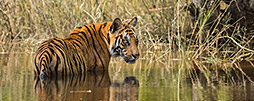 Nationalparks & Wildlife