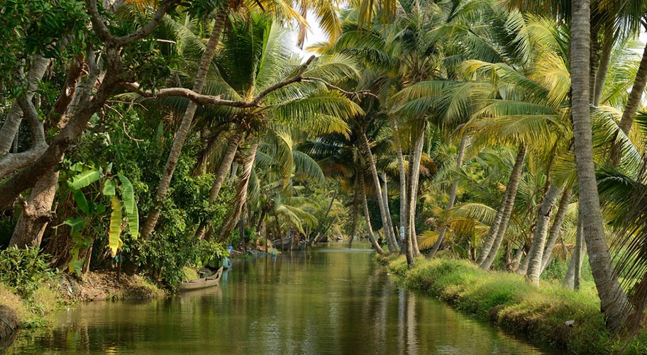 Blackwater Schiffsreise - Aussicht vom Boot Kerala Blackwater Hausboot Reise