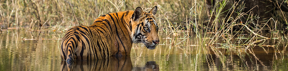 Indien Nationalparks